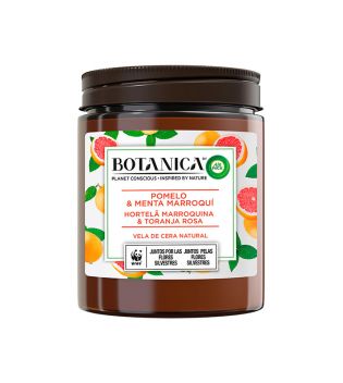 Air Wick - *BOTANICA by Air Wick* - Duftkerze aus natürlichem Wachs – Grapefruit & marokkanische Minze