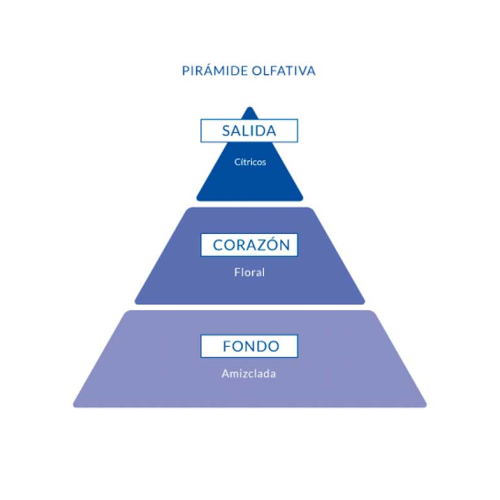 Aire de Sevilla - Eau de Toilette für Frau 150ml - Orangenblüte