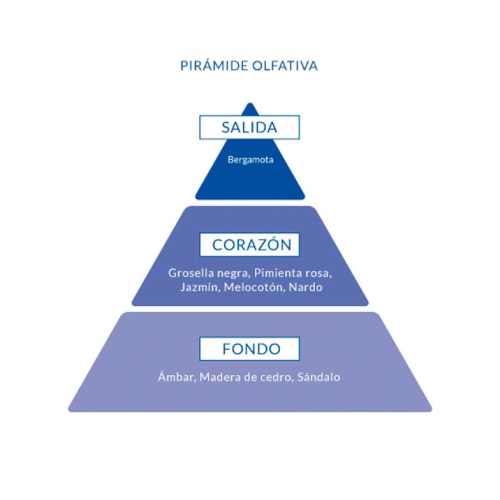 Aire de Sevilla - Eau de Toilette für Frau 150ml - Chicca Bonita