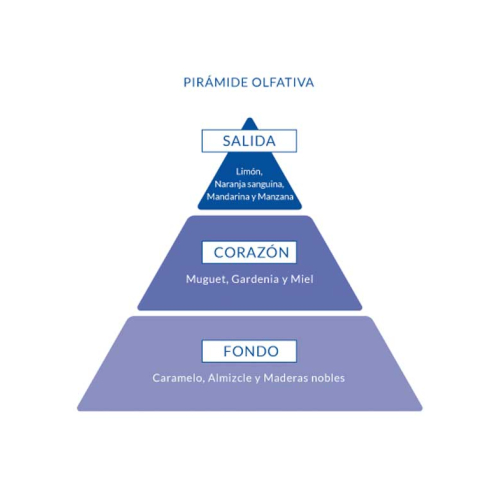 Aire de Sevilla - Eau de Toilette für Frau 150ml - Oh My God!!