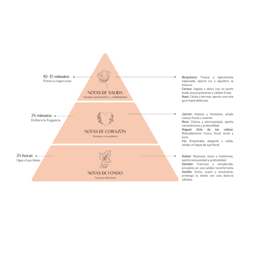 Alma Secret - *Home* - Mikado Lufterfrischer - Amber & Vanilla