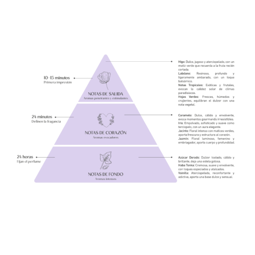 Alma Secret - *Home* - Mikado Lufterfrischer - Wild Fig & Praliné