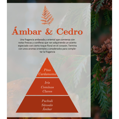 AMBAR Perfums - *Zen* - Raumspray - Duftrichtung: Amber und Zeder