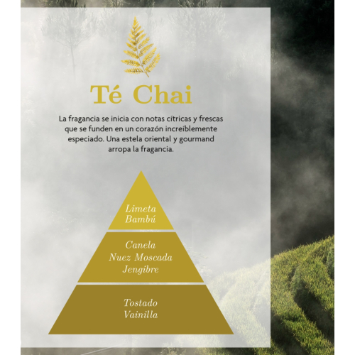 AMBAR Perfums – *Zen* – Auto-Lufterfrischer – Aktivierung: Chai-Tee