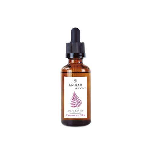 AMBAR Perfums - *Zen* - Wasserlösliche Essenz - Wiedergeburt: Kirschblüte