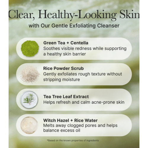 Arencia - Gesichtsreiniger Fresh Green Rice Mochi