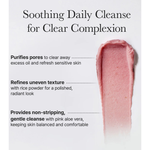 Arencia - Gesichtsreiniger Fresh Rosehip Mochi