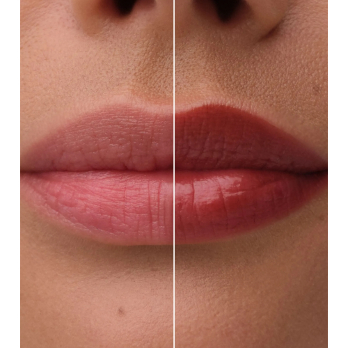 Catrice - Lippenbalsam Bare Glow - 020: Warm Mahogany