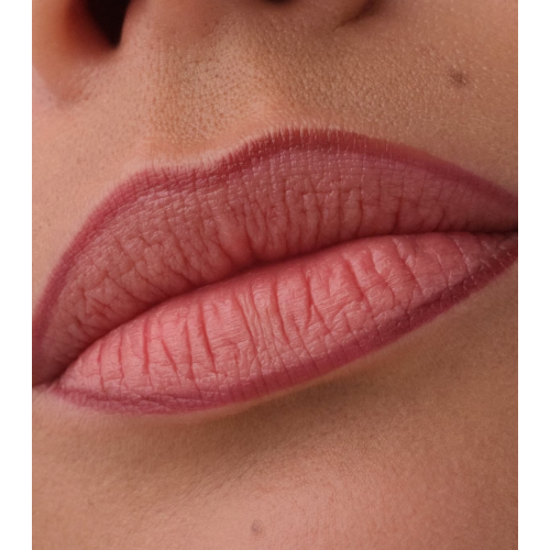 Catrice - Lippenkonturenstift Precision Ink - 010: Hold Tight