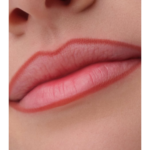 Catrice - Lippenkonturenstift Precision Ink - 020: Never Yours