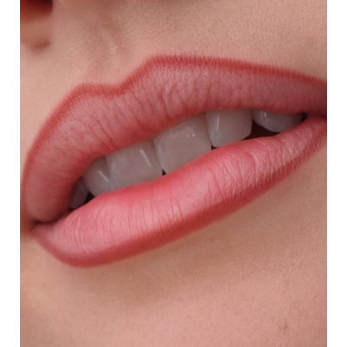 Catrice - Lippenkonturenstift Precision Ink - 040: Always Mine