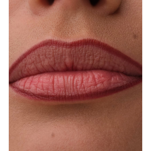 Catrice - Lippenkonturenstift Precision Ink - 050: Dressed In Drama