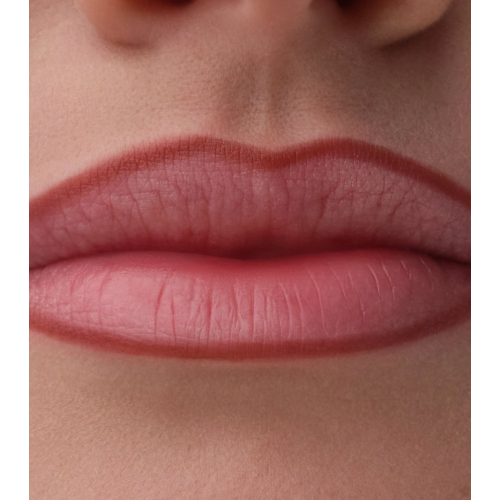 Catrice - Lippenkonturenstift Precision Ink - 060: Kept Close