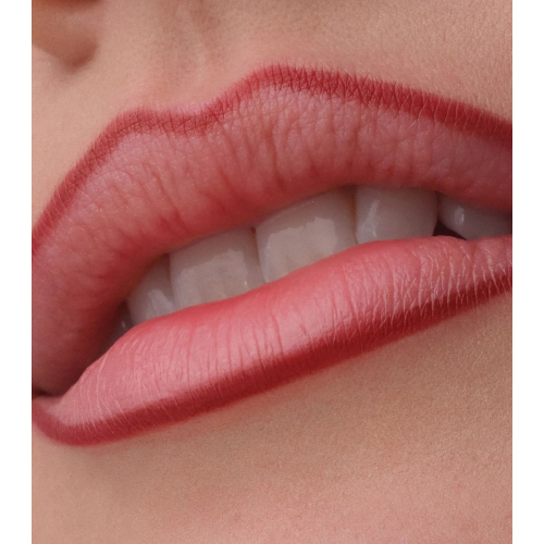 Catrice - Lippenkonturenstift Precision Ink - 080: Lines In Loyality