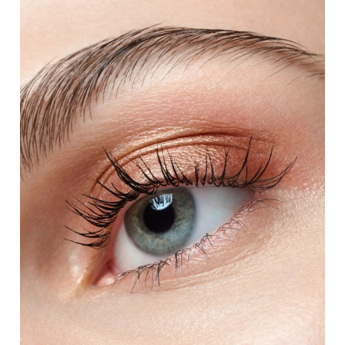 Catrice – Lidschatten Art Couleurs – 440: Bronze Bliss