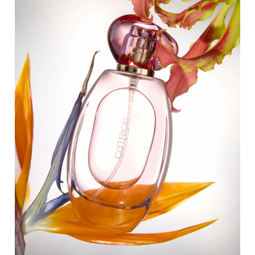 Catrice - *The Summer Edit* - Haar- und Körperspray - L'Eau So Sunkissed!
