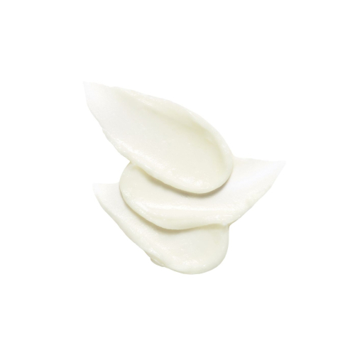 Cell Fusion C – Sonnenschutzstift SPF50+ PA++++ Aquatica