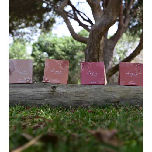 CORAZONA – *Alegría x Alma Kollektion* – Puder-Highlighter – Musa