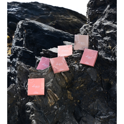 CORAZONA – *Alegría x Alma Kollektion* – Puder-Highlighter – Musa