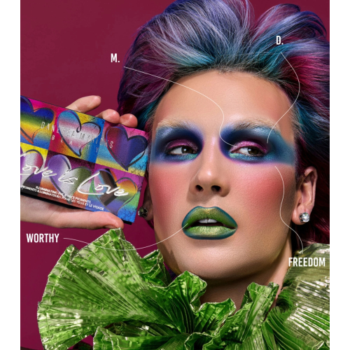 Danessa Myricks - Gesichtspalette Love is Love