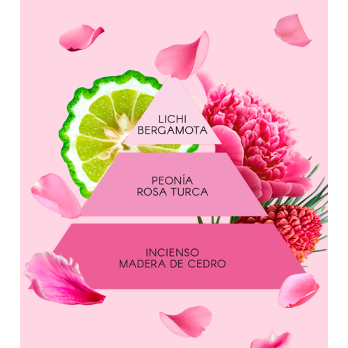 Don Algodon - Eau de toilette für Frauen - La Vie en Rose