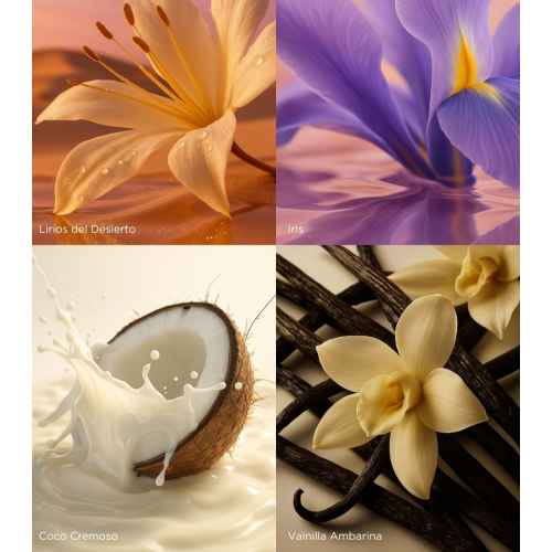 Don Algodon - Eau de Parfum - Mujer