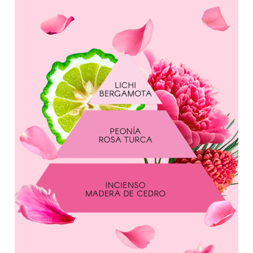 Don Algodon - Geschenkset La Vie en Rose