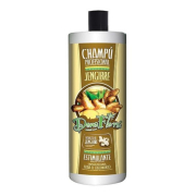 Dona Flora - *Ginger* - Stimulierendes Shampoo mit Ingwer