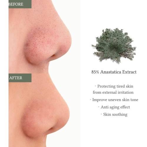 Dr. Althea - Pads mit Anastatica-Extrakt