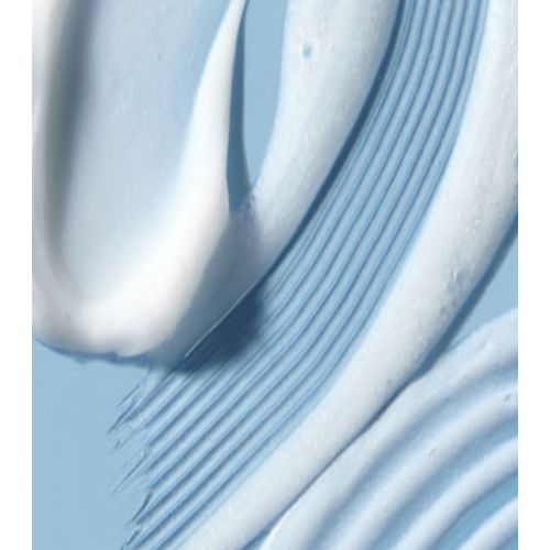 Embryolisse - Mattierende Gesichtscreme - 75ml
