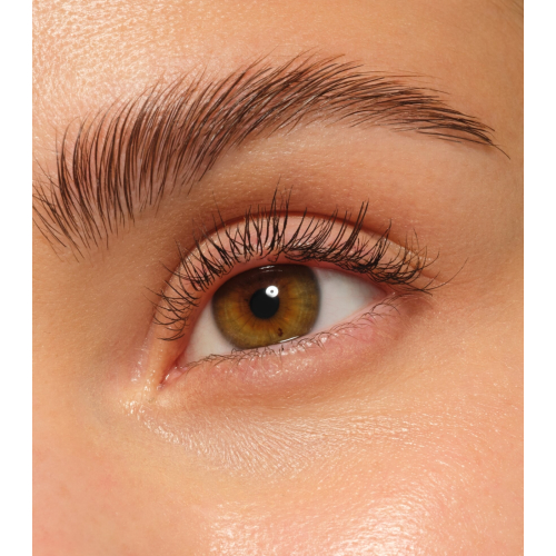 essence - Fijador de cejas Brow Lift & Freeze Glue - 03: Medium Brown