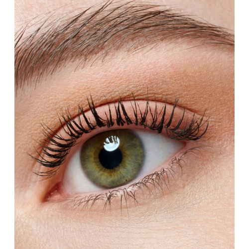 essence - Mini-Lidschattenpalette the BROWN edition