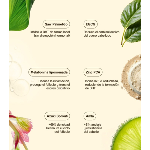Freshly Cosmetics – Behandlung gegen Haarausfall Hair Growth & Density