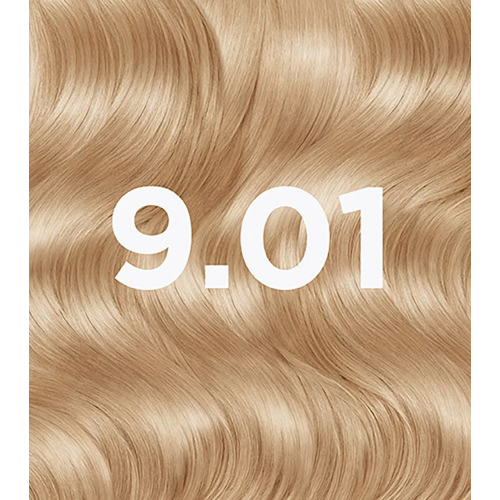Garnier – Permanente Coloration ohne Ammoniak. Gut – 9,1: Vanilleblond