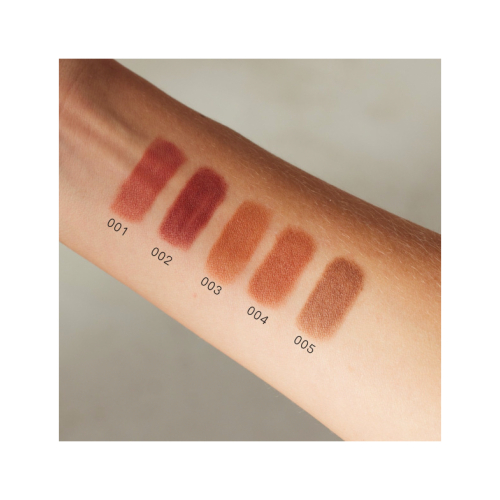 Gosh – 2-in-1-Lippenstift Lip Line'n Coat - 002: Burnt Cinnamon