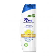 H&S – All-in-One-Anti-Schuppen-Shampoo und Spülung 540 ml – Citrus Fresh