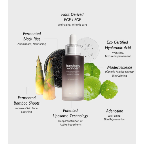 Haruharu Wonder - Gesichtsampulle Black Rice Hyaluronic Botanical 2GF