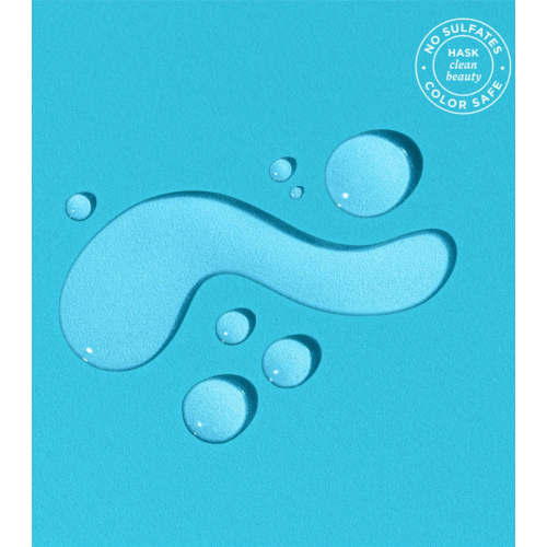 Hask - Reparierendes Haaröl Argan Oil - 100ml