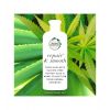 Herbal Essences - *Bio Renew* – Repariert und macht die Packung weich – Shampoo + Spülung + Anti-Frizz-Spray