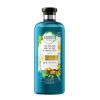 Herbal Essences - *Bio Renew* - Shampoo mit 400 ml Arganöl reparieren