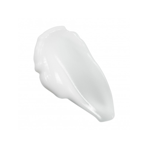 Hyeja – Feuchtigkeitscreme für das Gesicht Vegan Rice Probiotics Gentle Ferment