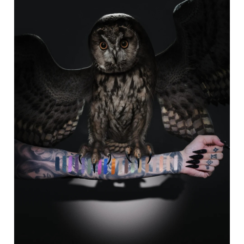 Jeffree Star Cosmetics - Night Owl Lidschattenpalette