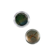 Karla Cosmetics - Duochrome lose pigmente - Story Time