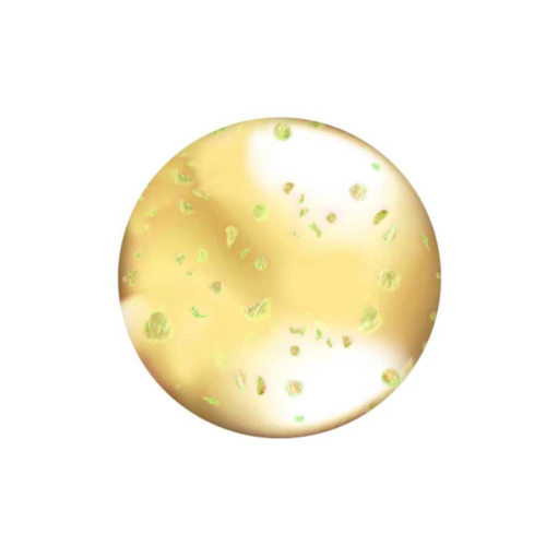 L.A Colors - Lip Oil Lipgloss - CLG442: Hunnybun