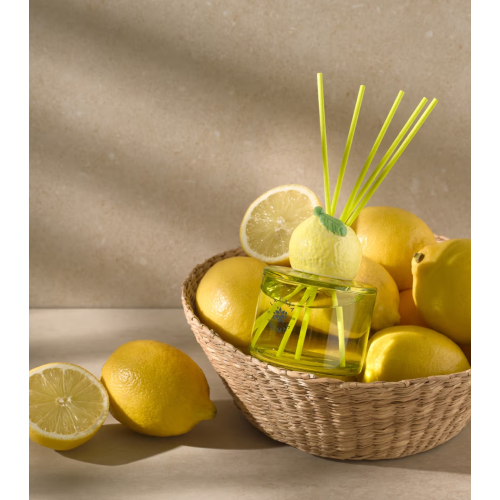 La Casa de los Aromas - *Reed Diffuser* - Mikado Lufterfrischer - Citrus Paradise