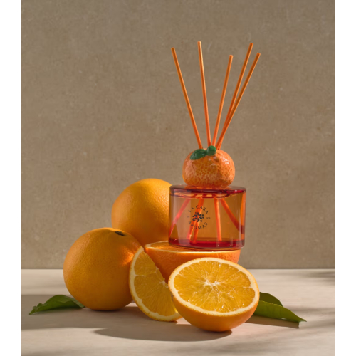 La Casa de los Aromas - *Reed Diffuser* - Mikado Lufterfrischer - Orange Twist