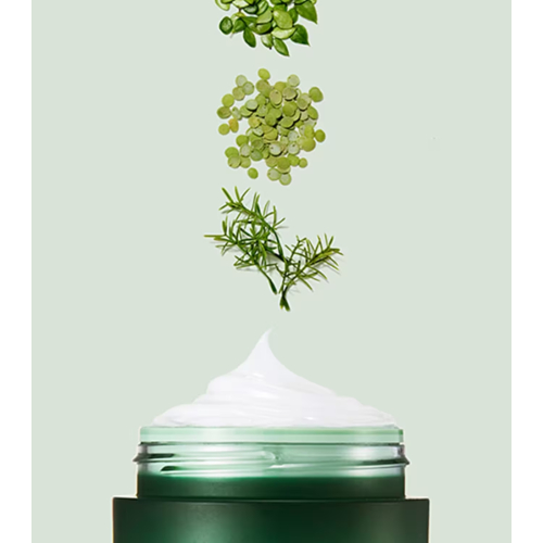 Laneige - Nachtmaske CICA Sleeping Mask