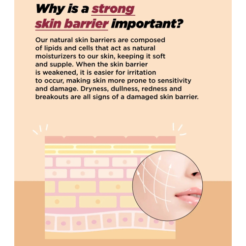 ma:nyo - *Bifida Biome* - Anti-Aging-Reparaturserum Complex Ampoule - 50ml