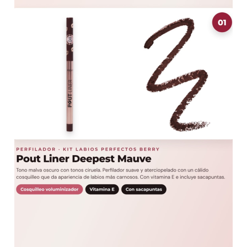 Makeup Revolution - Set de Profilierstift für Lippen Pout Liner - Deepest Mauve + Satinierte Lippenstift Lip Allure - Material Girl Wine + Lippenöl in Stiftform Jelly - Watermelon Crush Red