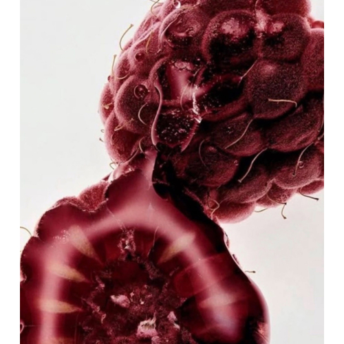 Maria Orbai – Lipgloss Glossy Lip Butter – Açai Berry